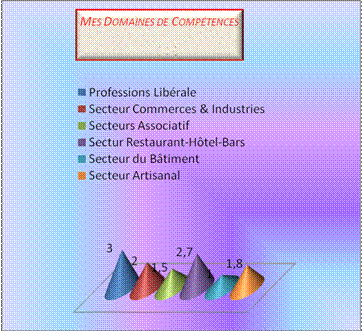 Graph nsconseil